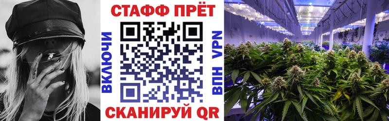 Где купить наркоту Тольятти Cocaine  Меф мяу мяу  ГАШ  Alpha-PVP  blacksprut ССЫЛКА  Каннабис 