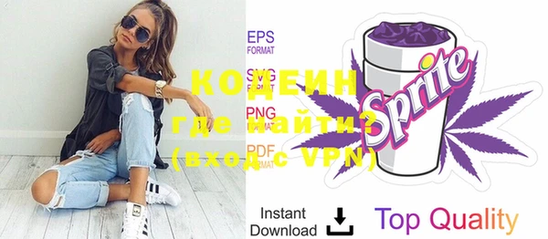 ПСИЛОЦИБИНОВЫЕ ГРИБЫ Дмитриев