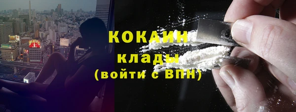 ПСИЛОЦИБИНОВЫЕ ГРИБЫ Дмитриев