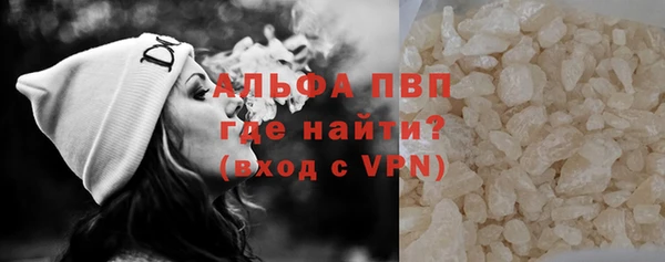 ПСИЛОЦИБИНОВЫЕ ГРИБЫ Дмитриев