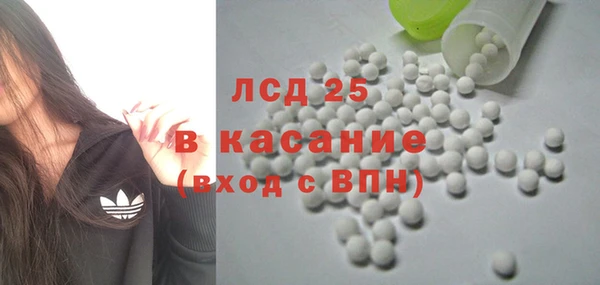 ПСИЛОЦИБИНОВЫЕ ГРИБЫ Дмитриев
