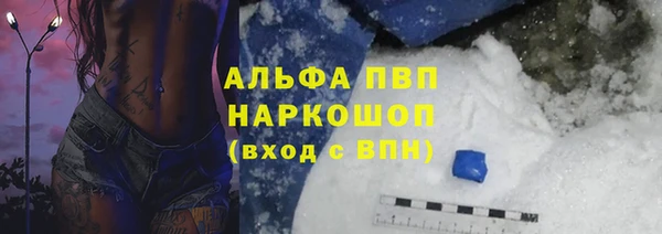 ПСИЛОЦИБИНОВЫЕ ГРИБЫ Дмитриев