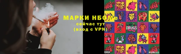 ПСИЛОЦИБИНОВЫЕ ГРИБЫ Дмитриев