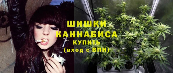 ПСИЛОЦИБИНОВЫЕ ГРИБЫ Дмитриев