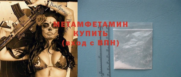 ПСИЛОЦИБИНОВЫЕ ГРИБЫ Дмитриев
