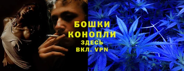 apvp Дмитров