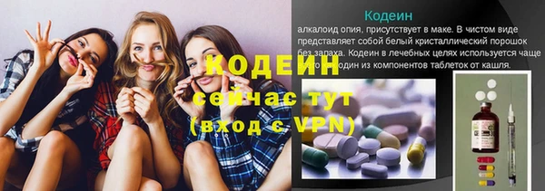 ПСИЛОЦИБИНОВЫЕ ГРИБЫ Дмитриев