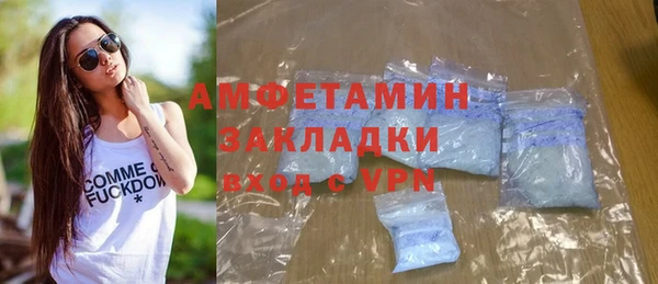 ПСИЛОЦИБИНОВЫЕ ГРИБЫ Дмитриев