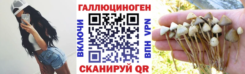 kraken ССЫЛКА  Тольятти  Галлюциногенные грибы Psilocybe  наркота 